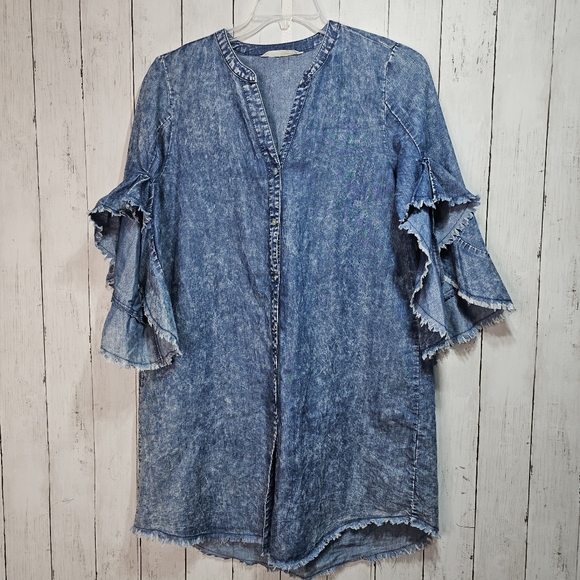 Given Kale Women's Denim Dress Flare Flutter Sleeve Raw Hem Button Front Size M. - Picture 1 of 9